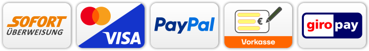 Zahlungsmethoden-Paypal-master-visa-giro-überweisung